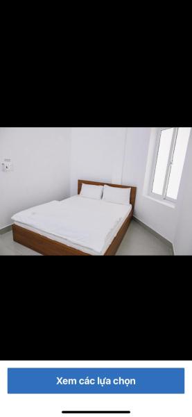 Hoa ban homestay